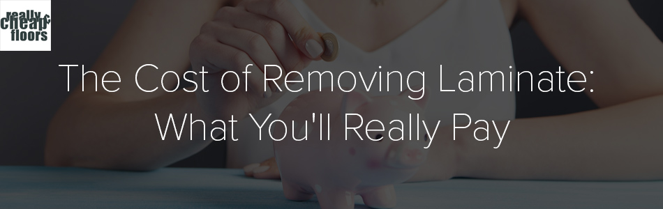 Woman putting a peso in a piggy bank with the text above the image says The cost of Removing Laminate Flooring-What you will really pay