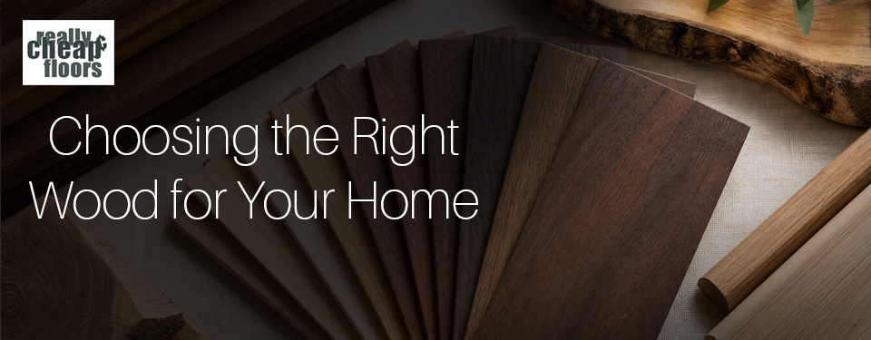 Choosing the Right Wood for Your Home and What to Consider Before Making a Decision