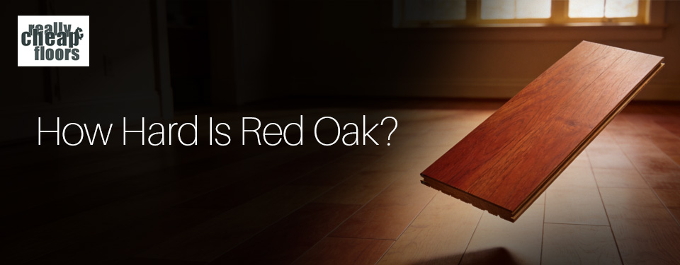 How hard is red oak
