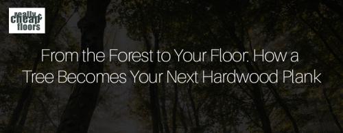 From the Forest to Your Floor: How a Tre