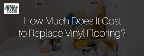 How Much Does It Cost to Replace Vinyl F