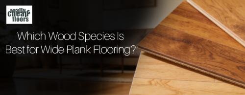 Which Wood Species Is Best for Wide Plan