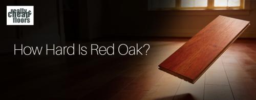 How Hard Is Red Oak? A Real-World Guide 