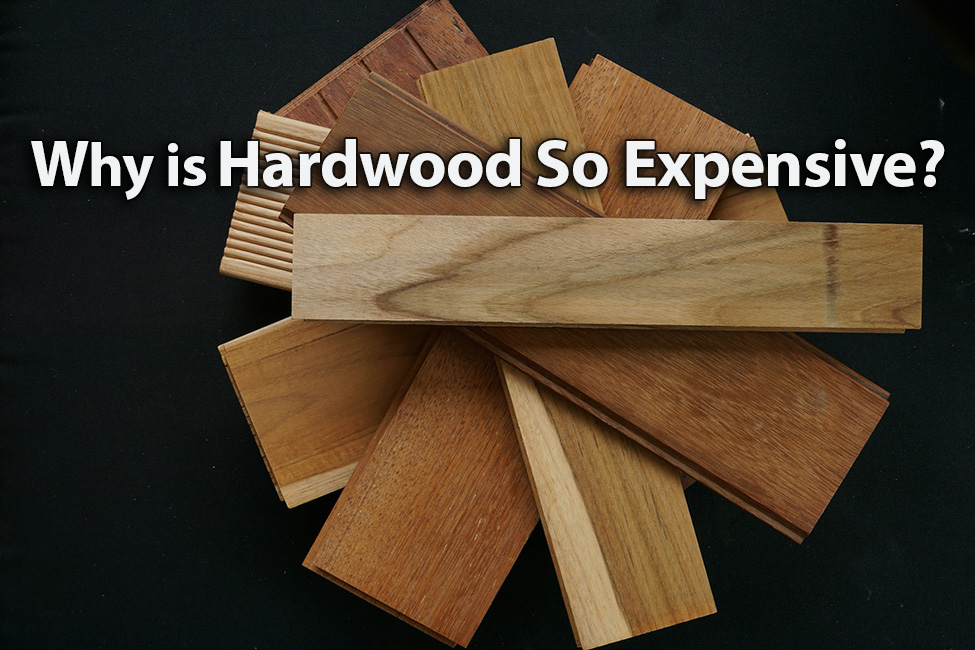 a stack of hardwood flooring samples create a circular object and text is on top of it that says Why is Hardwood So Expensive?