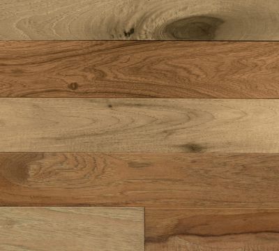 Hickory Driftwood