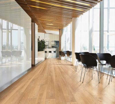 Coretec Pro Plus XL Enhanced Berlin Pine Cost